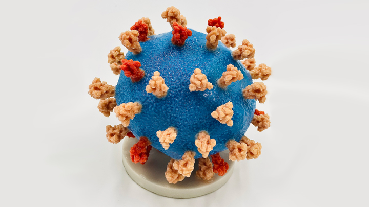 National Institues of Health Virus